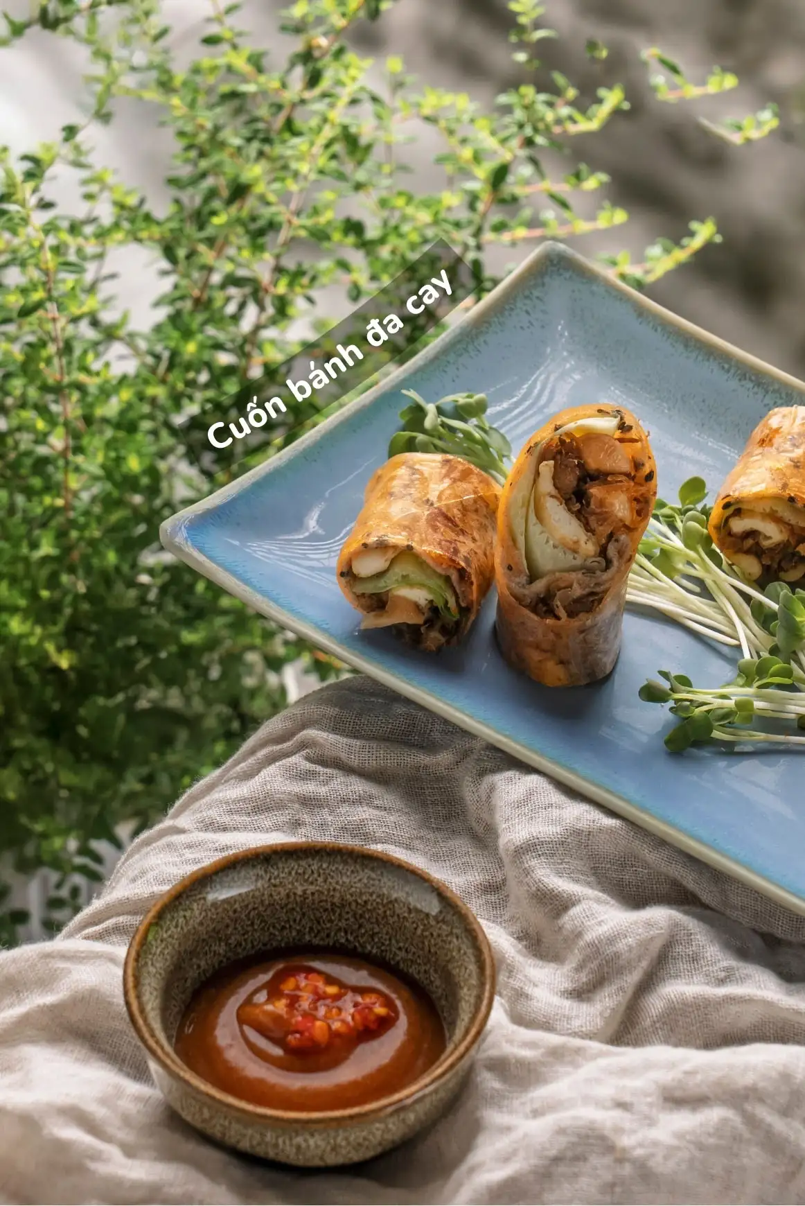 Cuốn bánh đa chay